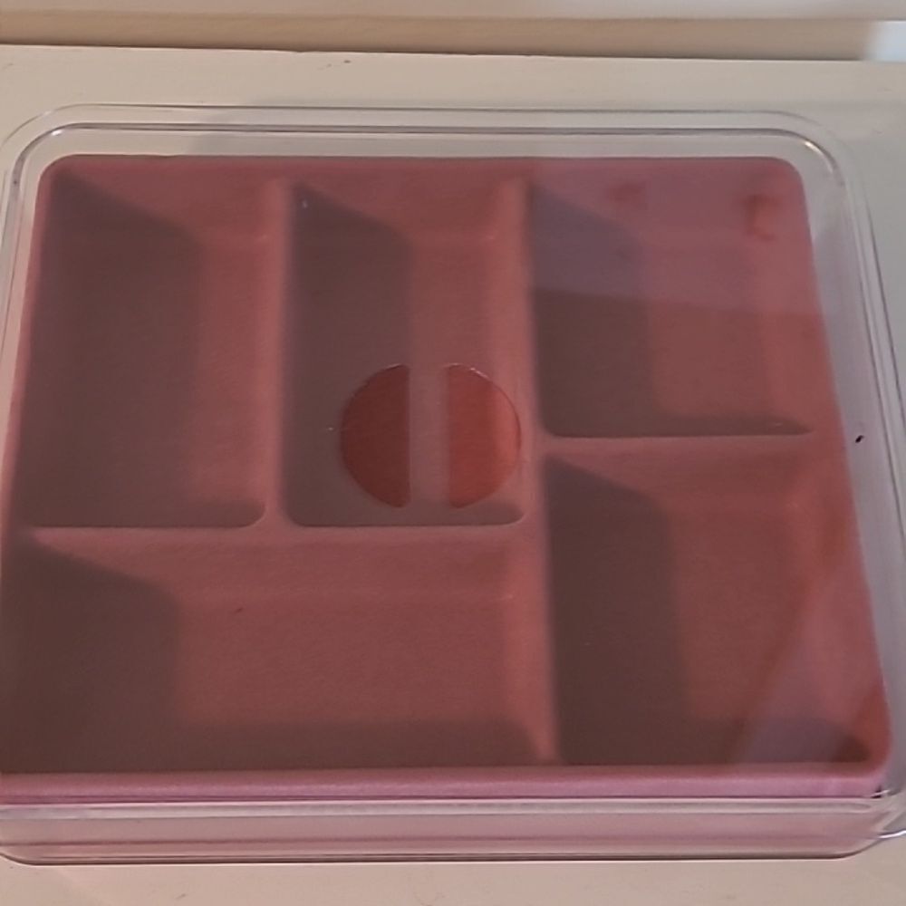 Clear and Pink Divided Storage Box - Picture 2 of 6